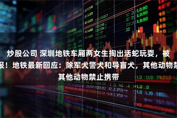 炒股公司 深圳地铁车厢两女生掏出活蛇玩耍，被乘客举报！地铁最新回应：除军犬警犬和导盲犬，其他动物禁止携带